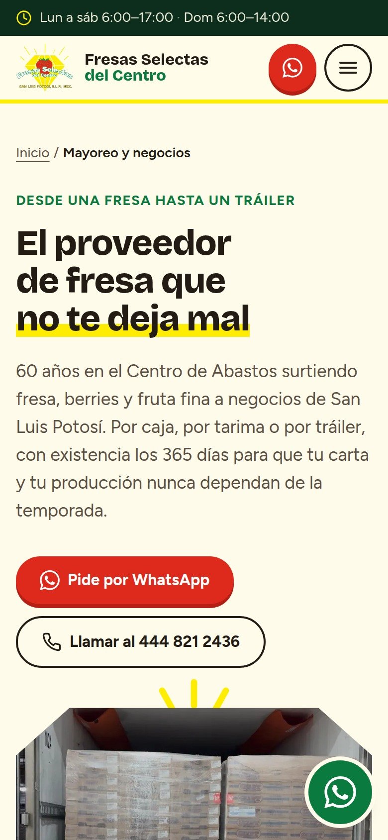 Mayoreo y negocios del sitio de Fresas Selectas del Centro en celular