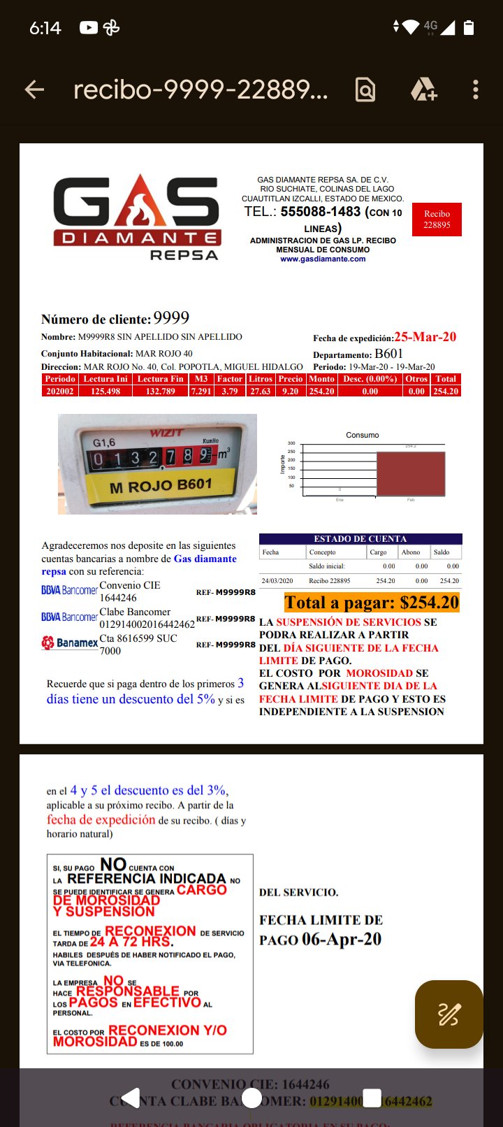 Recibo de consumo en la app Gas Diamante